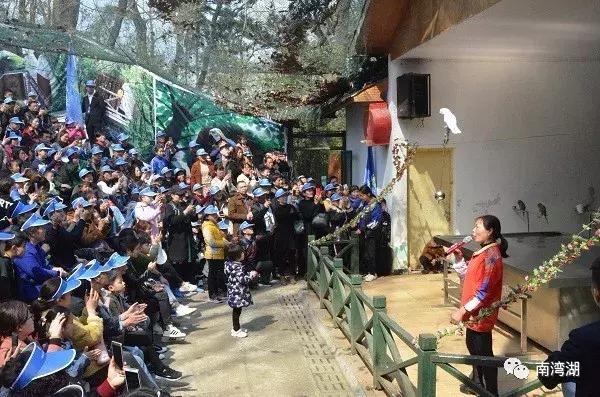 信阳十一假期旅游推荐,信阳南湾湖旅游攻略图