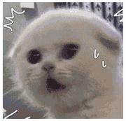 痰盂卡住小孩视频,痰盂卡住孩子