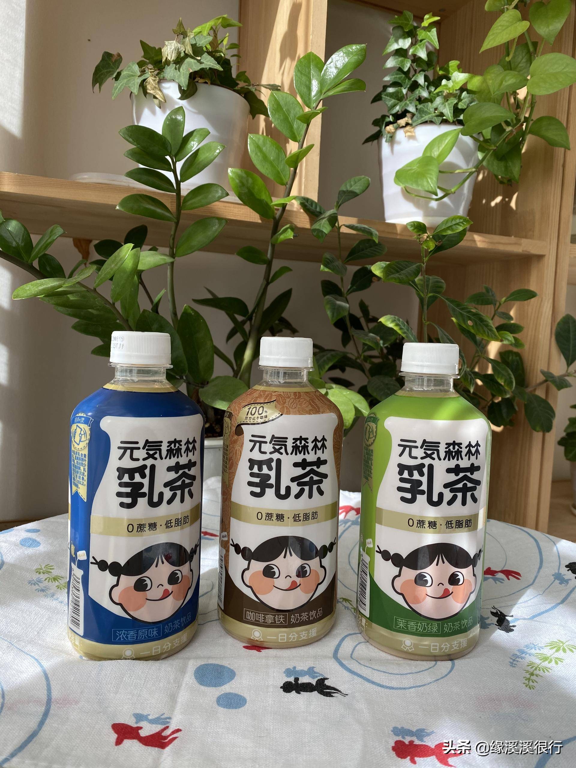 减肥期间可以喝元气森林气泡水,元气森林乳茶减脂吗