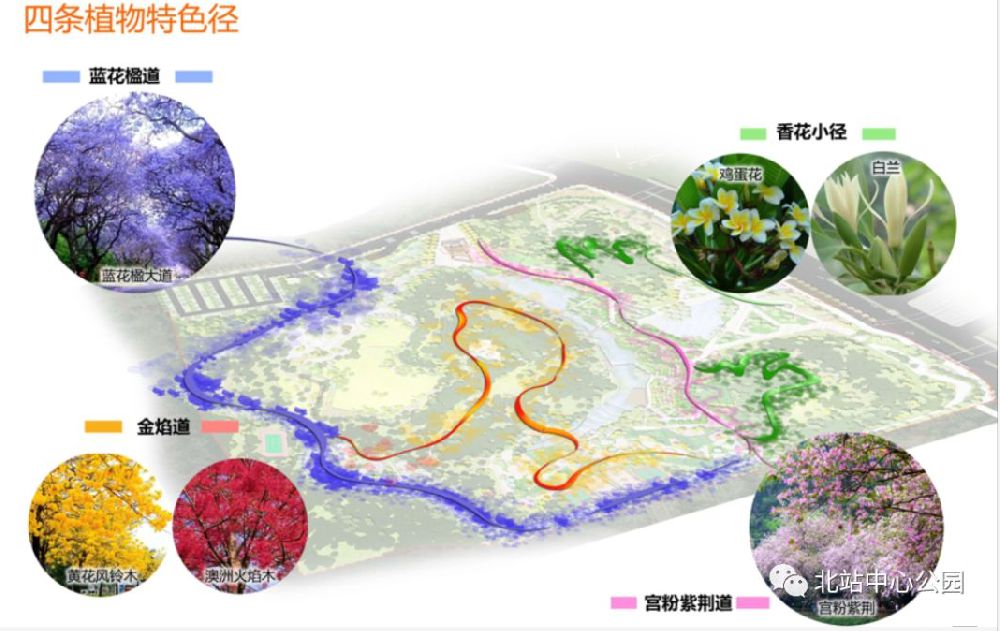 深圳北站公园足球场,深圳市中心公园足球场有多大