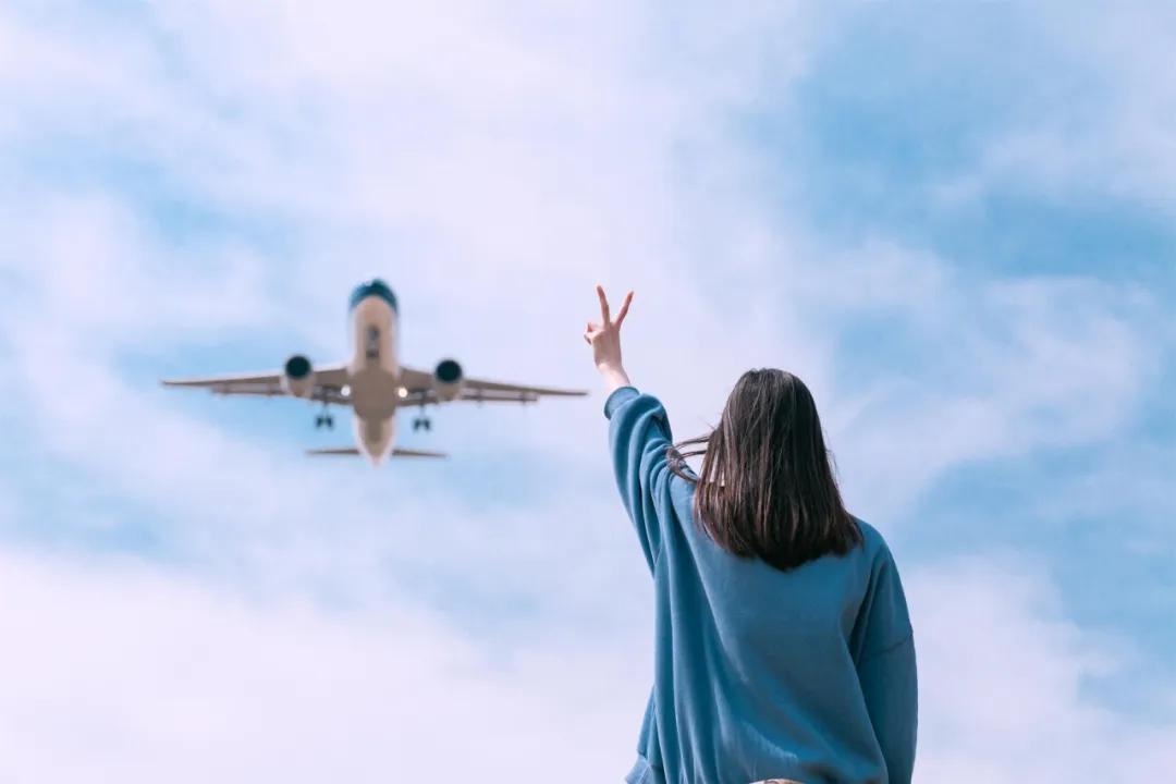 在空港花田里怎么拍照好看,每张都是屏保