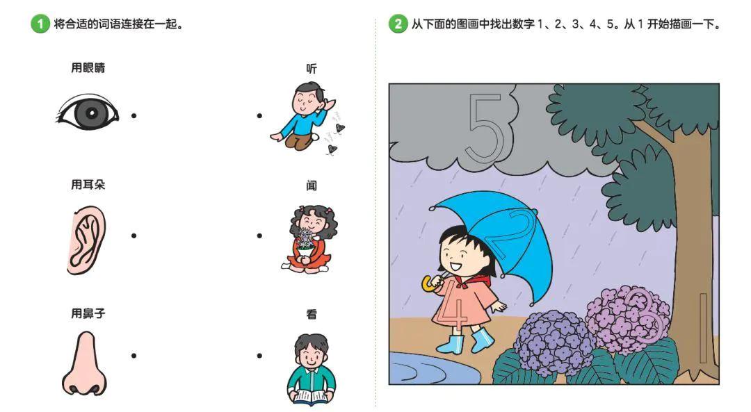 七田真全脑开发全套6册,日本正版七田真全脑课程介绍