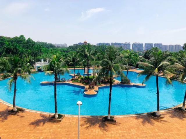 东莞唐拉雅秀酒店攻略,唐拉雅秀酒店游泳池