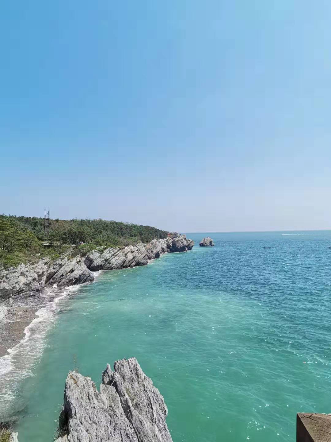 大连老虎滩帆船出海一日游,老虎滩金石滩棒棰岛