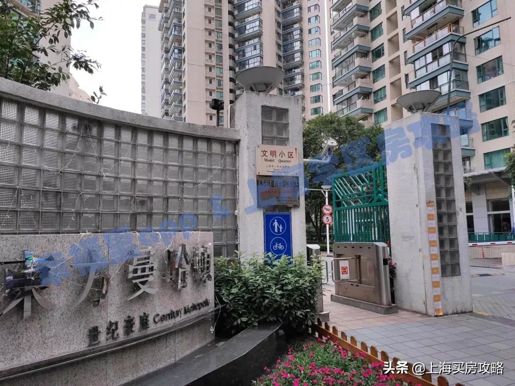 徐汇四大公办小学对比,上海汇师小学和分校