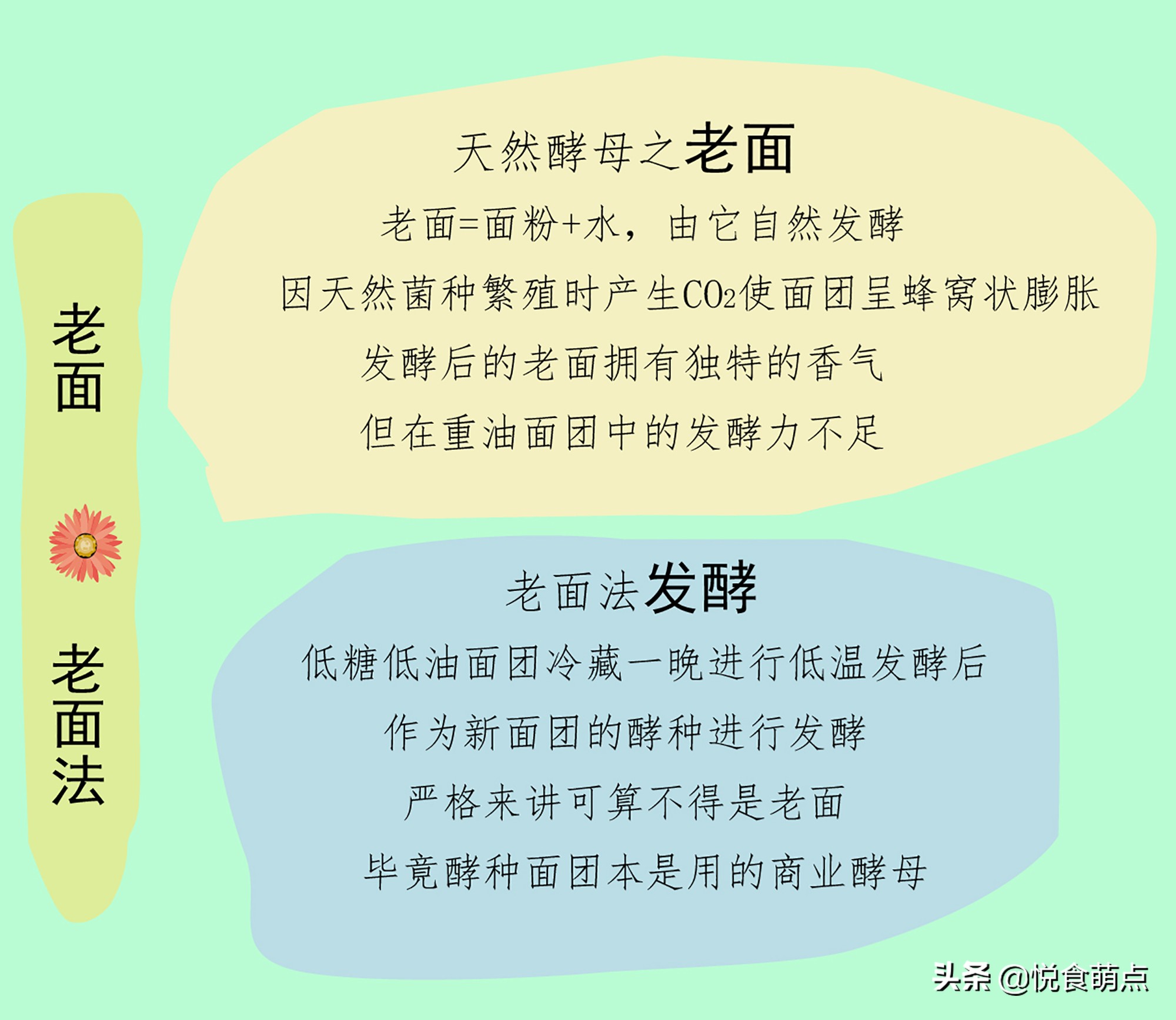怎样知道酵母是有效的,原来有这么多种酵母你都了解了吗