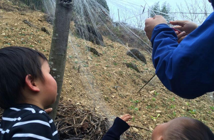 他叫辛巴,不是狮子王,8岁穿越12国:最好的教育,永远在路上