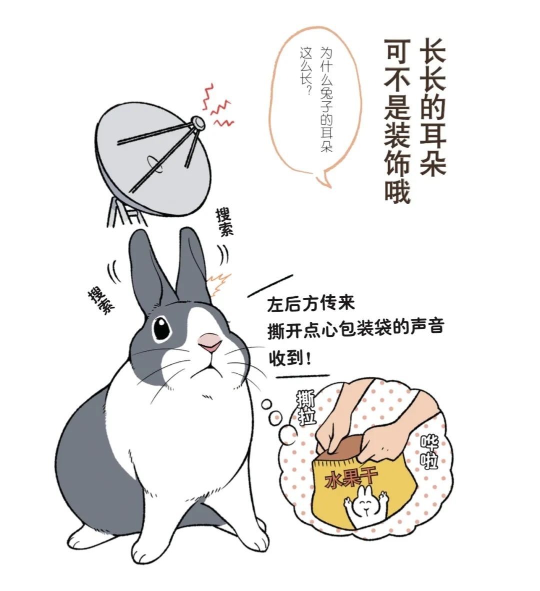 兔子不好养是什么意思,养兔子技巧