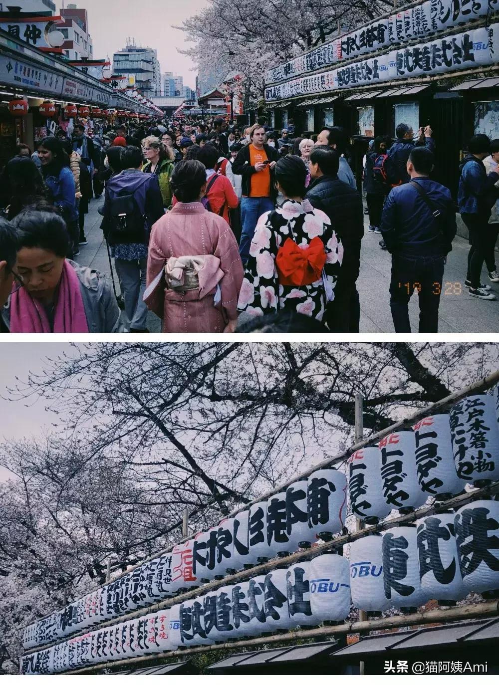 日本奈良喂小鹿时鞠躬砸到头,日本奈良神鹿公园游记