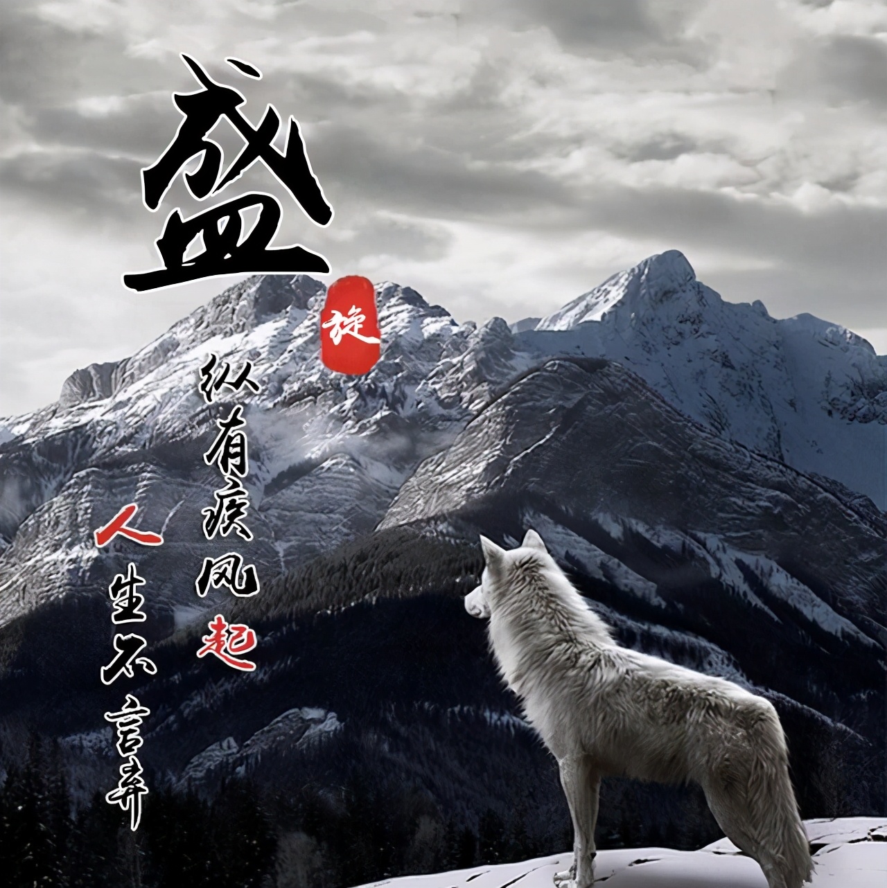 最新出炉的个性微信头像独一无二,100张个性微信头像5个系列任你选