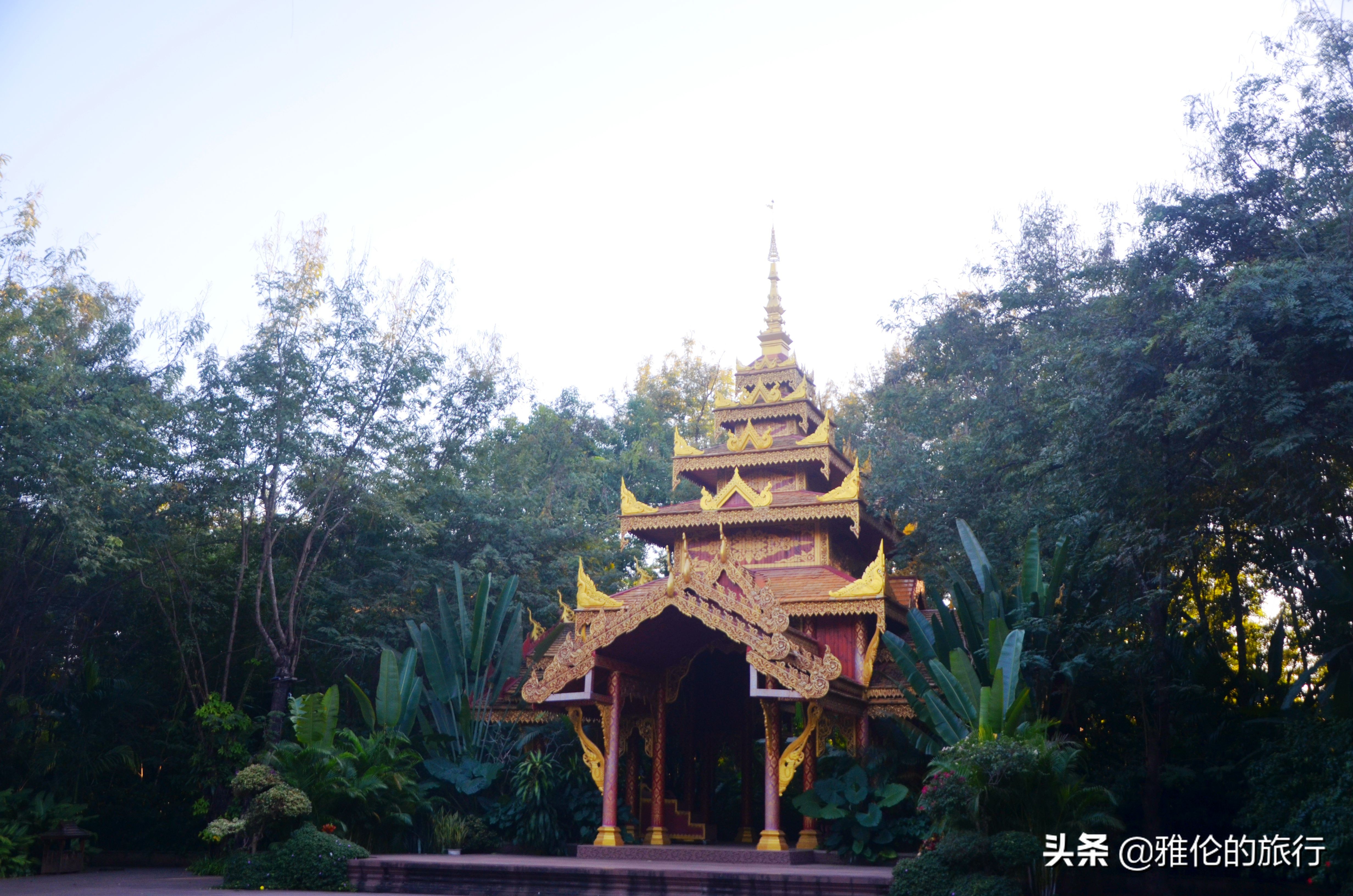 西双版纳傣王的后花园,傣王的御花园是谁修建的