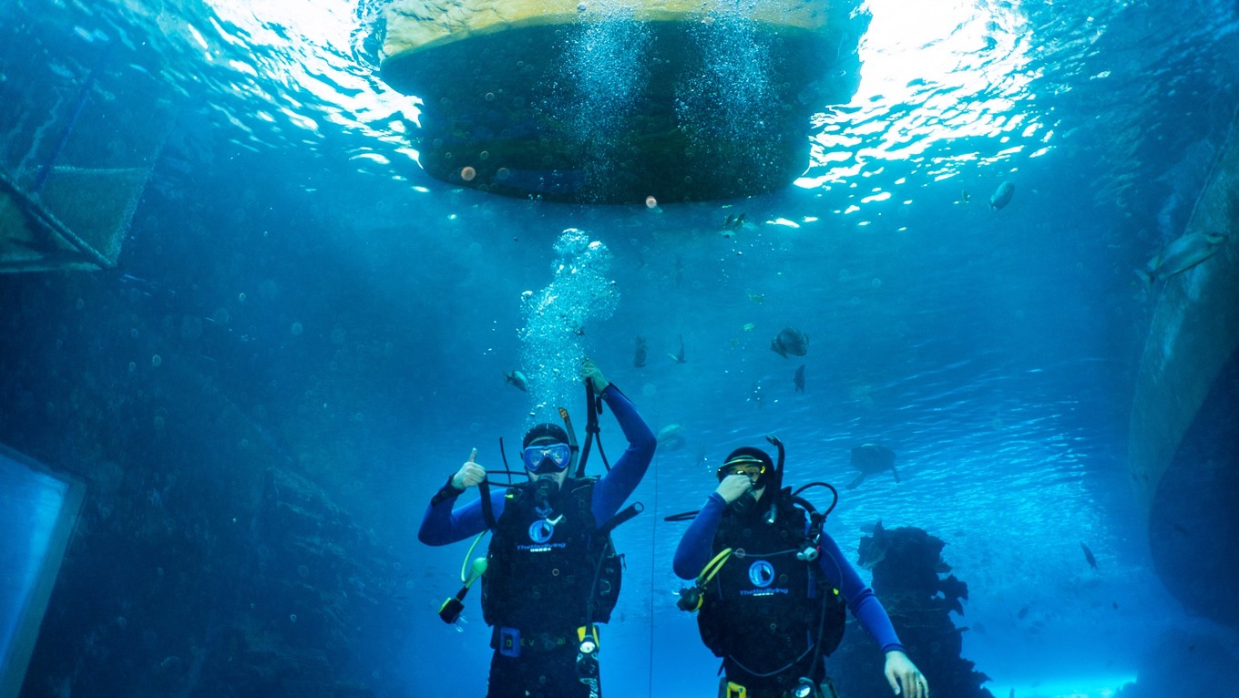 三亚学潜水机构推荐,三亚学潜水哪个最专业