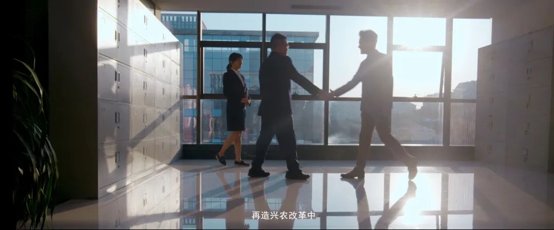 重庆市兴农担保集团,重庆兴农担保集团