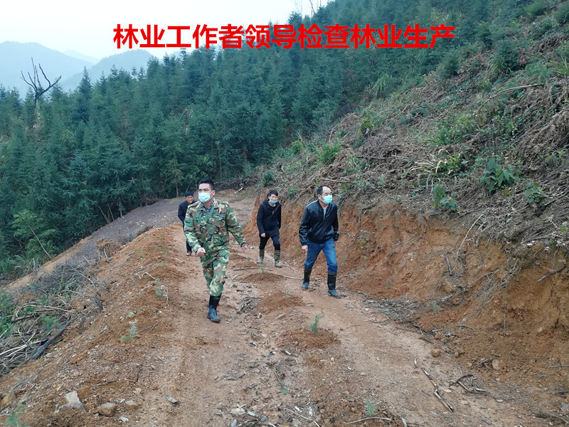 林业礼赞——世界最后一滴水将是人类的眼泪吗