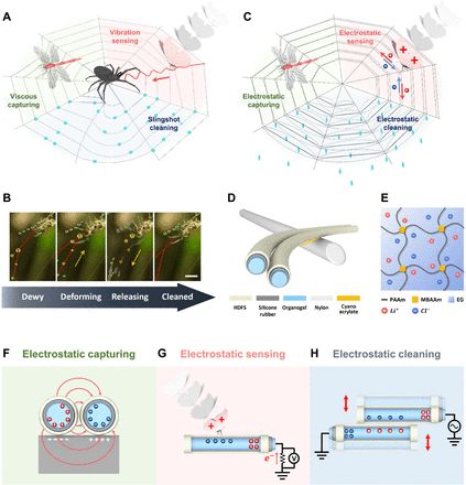 脑科学药物,脑科学日报恶性肿瘤微环境分析