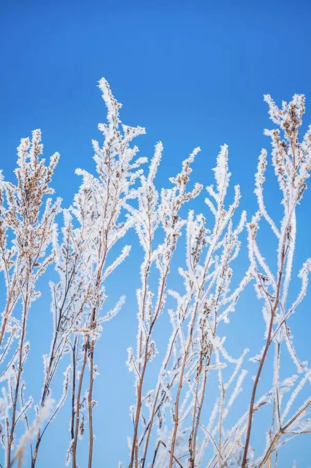 承德冬天风景区,承德冬天适合玩的地方两日游