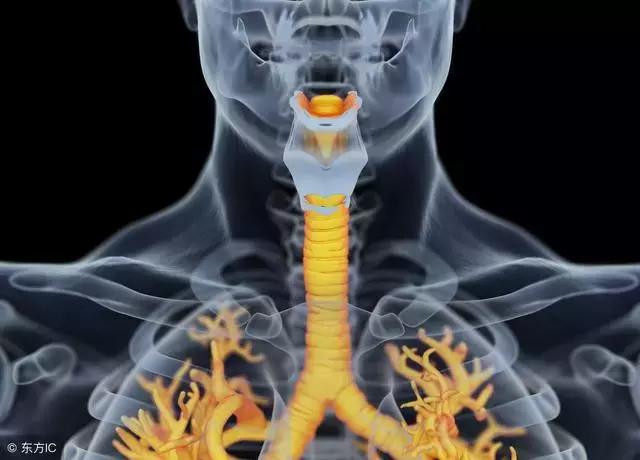 支气管炎的食疗方法和注意事项,支气管炎的食疗方法及注意事项