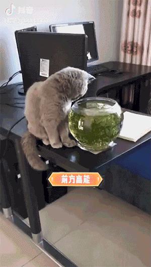 愚人节防套路指南搞笑,每日一笑那些笑疯的神操作