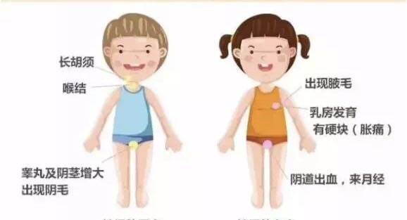 青春期性心理发展的阶段,青春发育敏感期