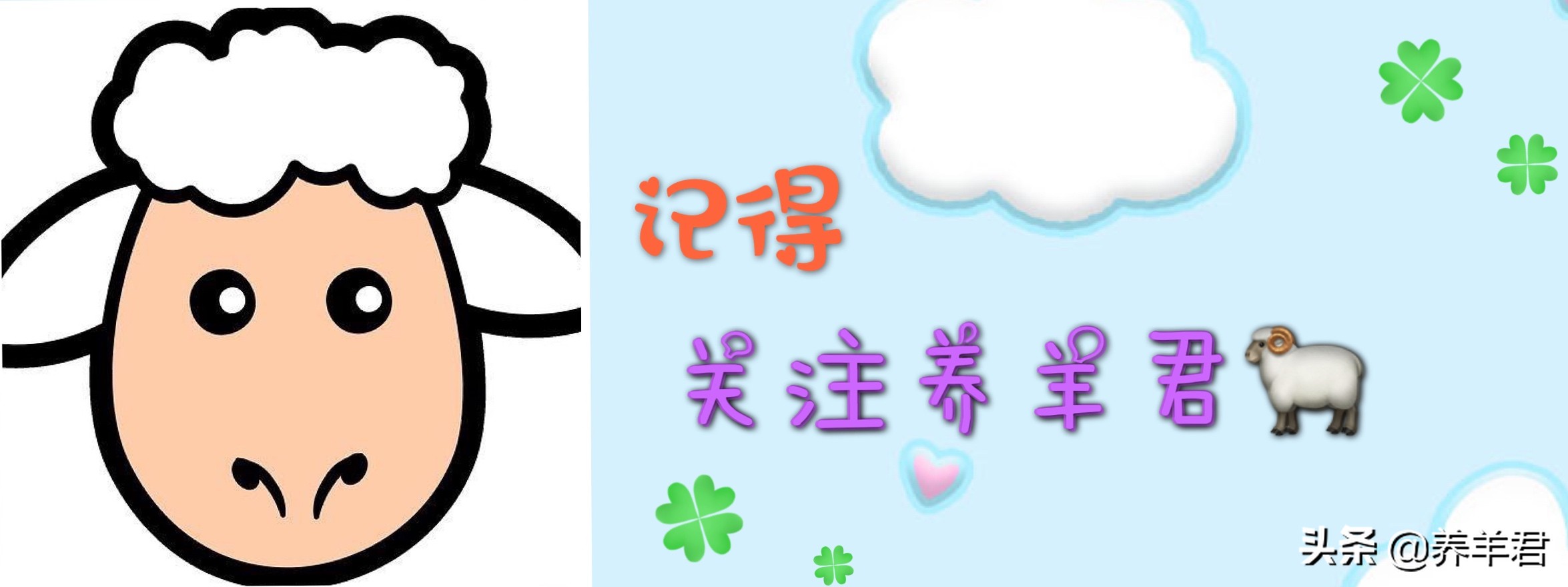 羔羊怎么预防瘫软,羔羊瘫软生长慢有几种原因