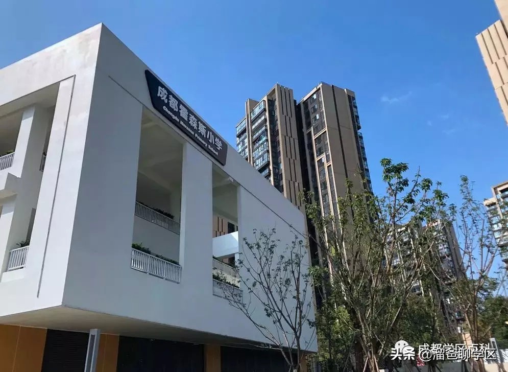 大源片区小学排名,高新区大源片区学校排名