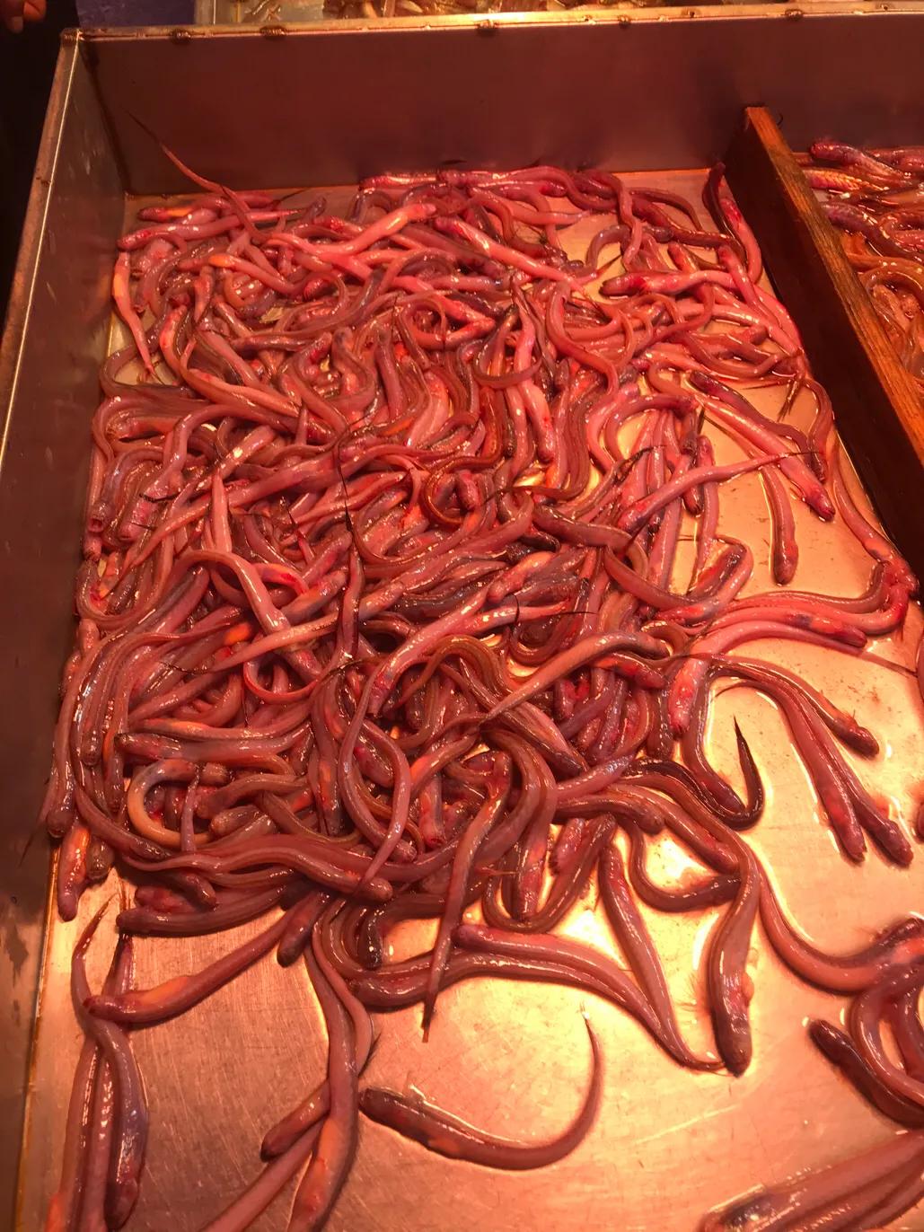 珠海斗门哪里海鲜便宜,吃货必去的海鲜城市