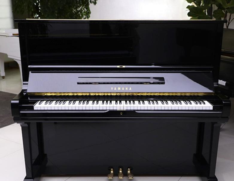钢琴建议出租还是购买,钢琴租赁钢琴大概价格