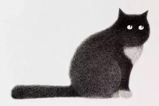 她用2元针管笔作画便惊艳了世界,他用粉笔画了一只猫