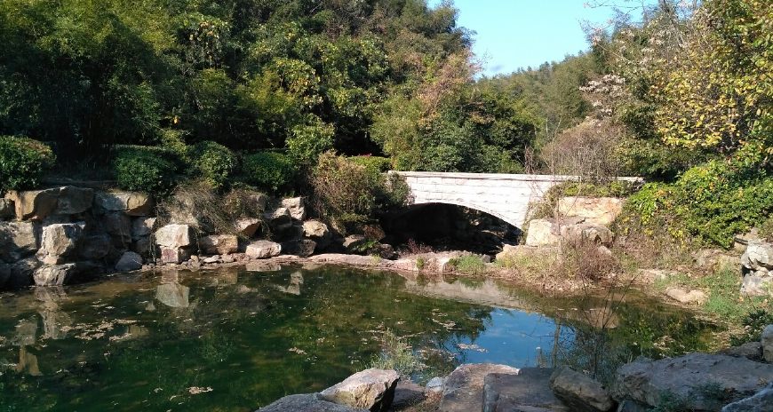 风景秀丽的宜兴竹海,漫步竹林呼吸大自然的清新