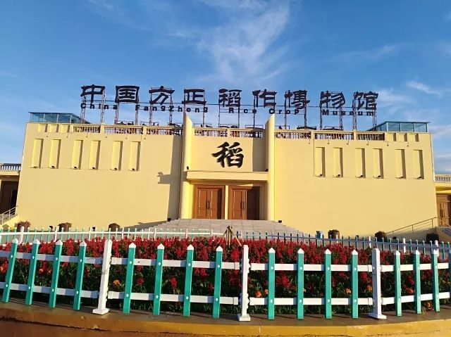 日本岩手县——前有恶魔后有天使——北方“袁隆平”