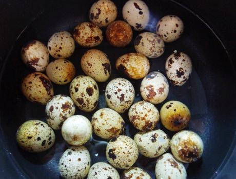 鹌鹑蛋怎么做才能好剥壳,怎样剥鹌鹑蛋又快又好