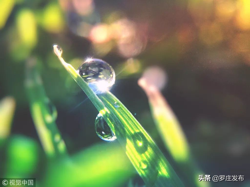 可了不得了原视频,可了不得了图片