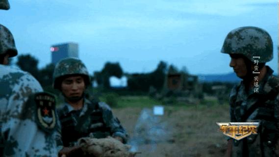 被奶狗偷亲也不能动！淡定背后，军人们经历了啥……