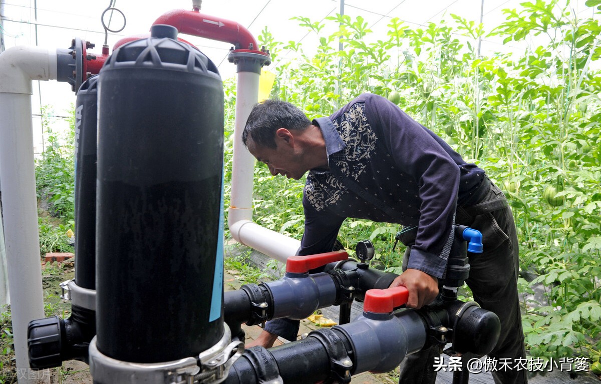 腐植酸氨基酸鱼蛋白肥料哪个更好,有机质肥料腐植酸海藻酸成分高吗