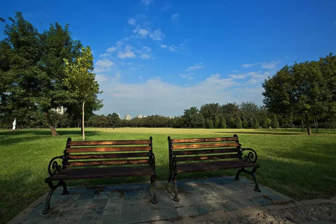 外地人去天津一般去哪里玩攻略,外地人天津春节游玩去处