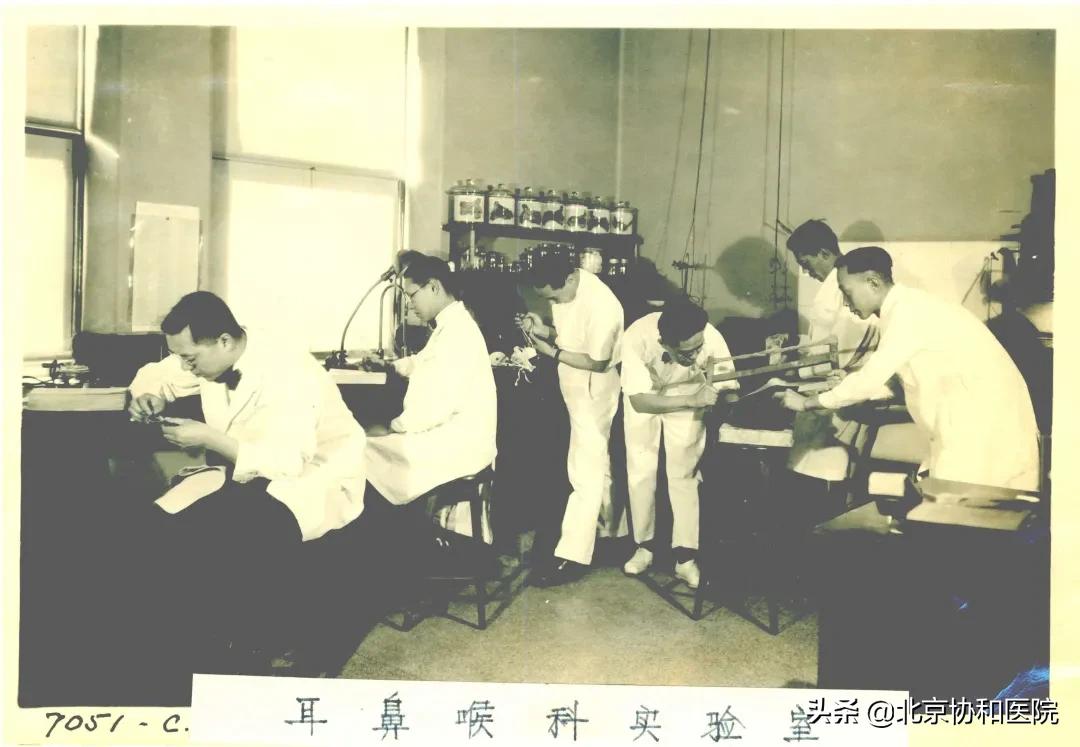 北京协和医院耳鼻喉科专家高志强,高志强主任