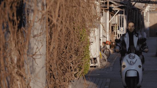 北京姑娘在西藏开民宿,北京姑娘在云南开民宿