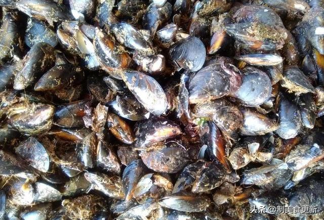 买的海虹怎么处理,海虹如何吃好