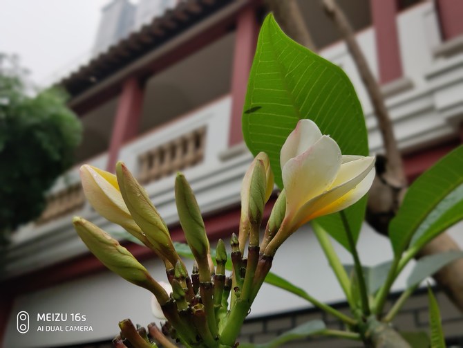 魅族16s详细测评,魅族16s评测小米9