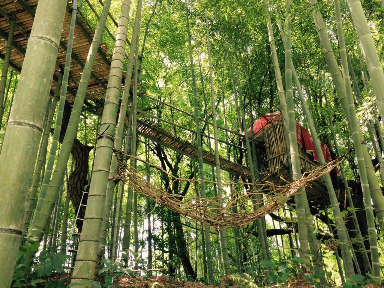 颓废八年的网虫，如何变身街健达人，还受到国家体育总局的关注