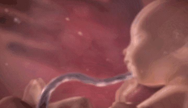 胎儿一般多大胎动比较明显,几个月胎儿可以明显看出胎动