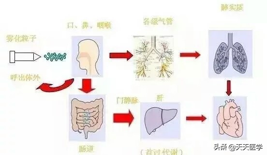 做雾化正确吸入嘴巴还是鼻子,雾化的正确吸入方法视频
