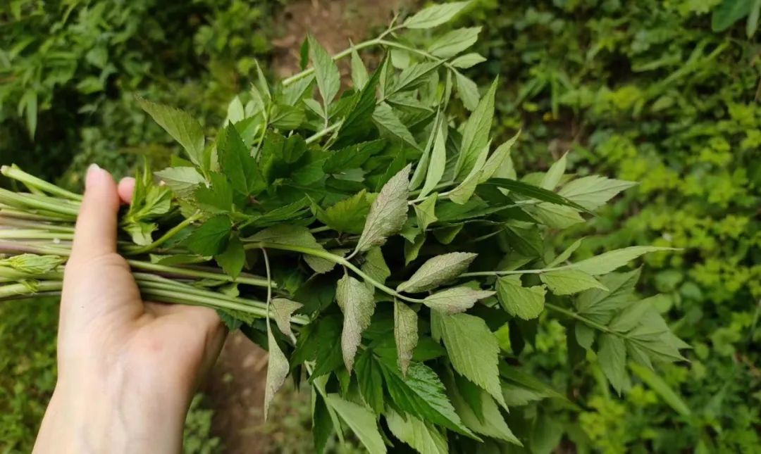 首届梦控师线下工作坊：走在梦的路上，胜过人间天堂