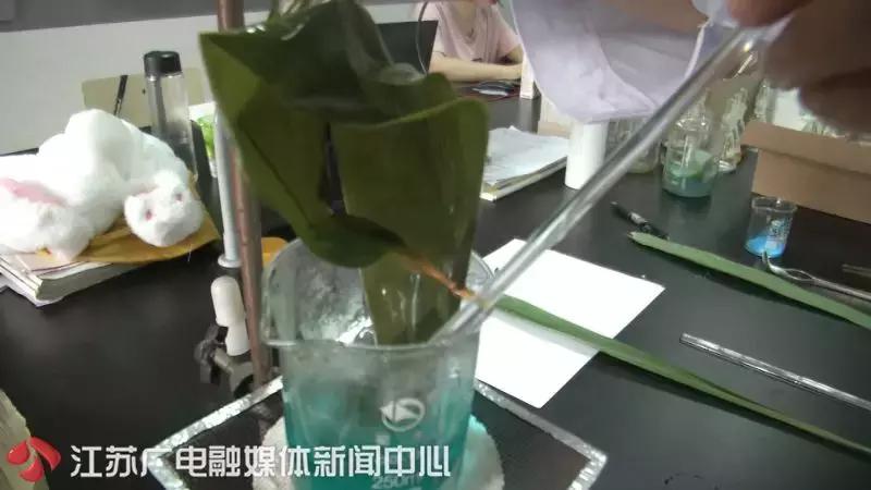 买的粽子粽叶翠绿的是怎么回事,粽子粽叶如何选择