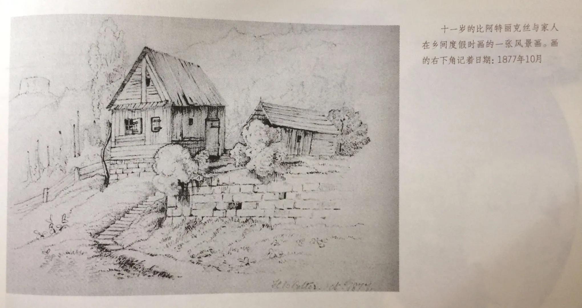 《永远的波特——彼得兔的妈妈》:揭晓彼得兔经久不衰的魅力所在