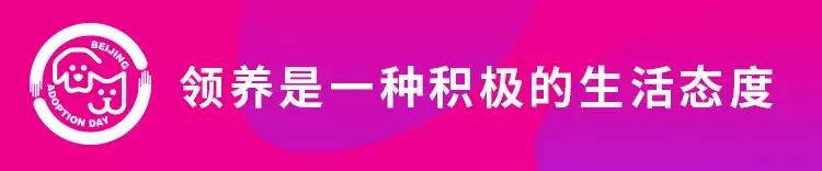 给它们一个家|线上宠物领养日,201903102