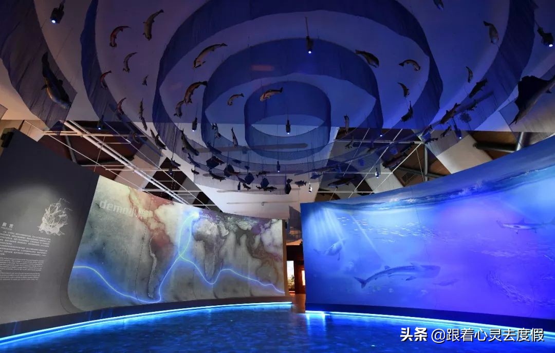 故宫的建设介绍,故宫的地理位置和基本现状