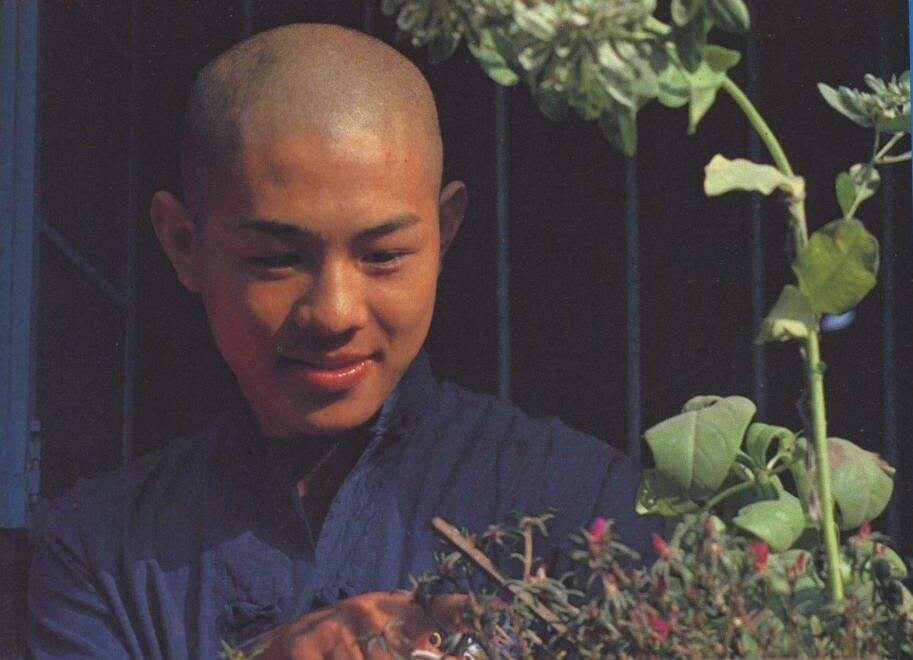 李连杰参演最后的一部电影,李连杰最近准备拍什么片子