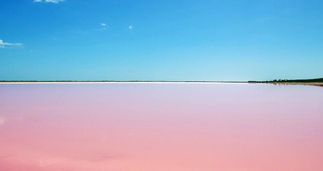 杭州春季雅思班——春水初生，春林初盛，雅思恋爱两不误