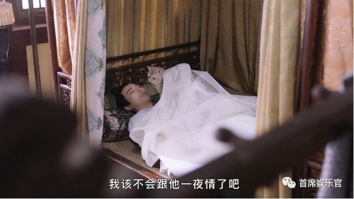 我在大理寺当宠物全集免费完整版,我在大理寺当宠物第1集到大结局